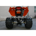 250ER RAPTOR AGGRESSIVE EWG ATV